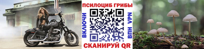 Галлюциногенные грибы Psilocybine cubensis  Купить где  Азов 